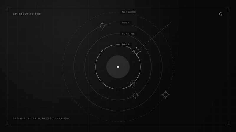 Line diagram of defence in depth, a probe contained at the outer ring